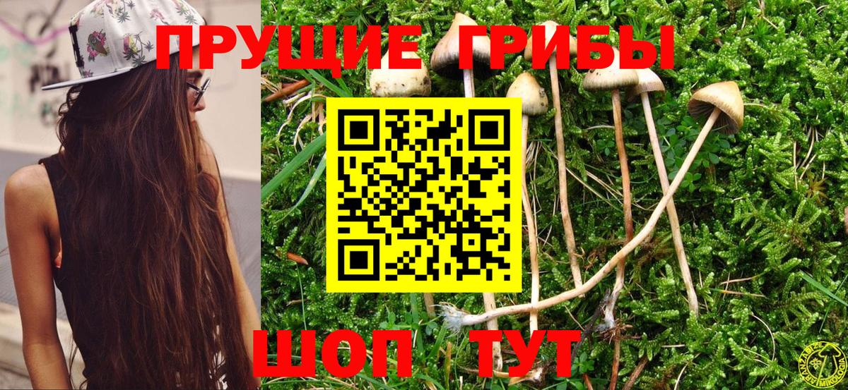 Псилоцибиновые грибы Magic Shrooms Славгород
