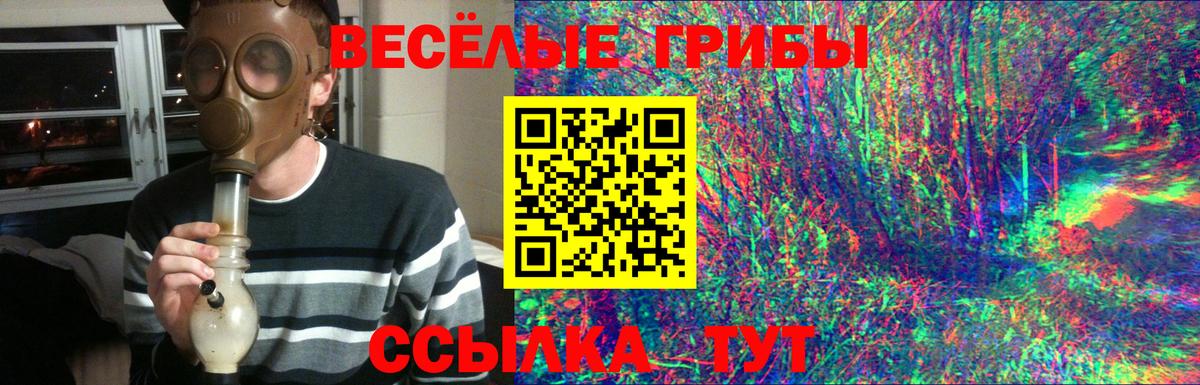 Галлюциногенные грибы MAGIC MUSHROOMS  Вход с VPN  Псилоцибиновые грибы прущие грибы  Славгород 